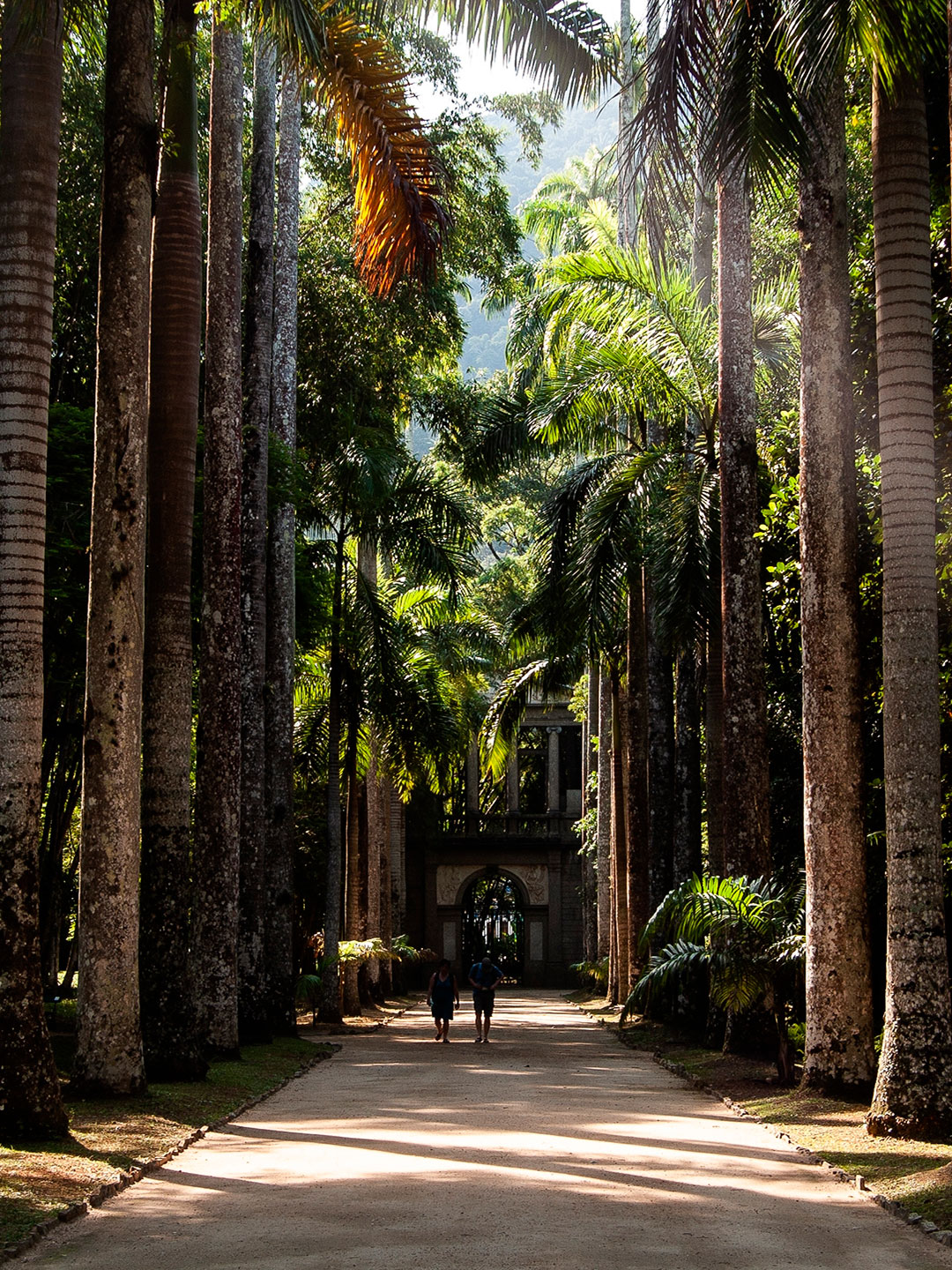 Jardim Botânico